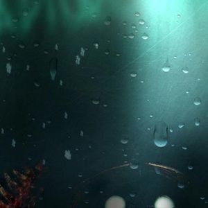 Meet your Posher, Max